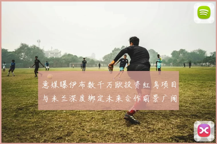 意媒曝伊布数千万欧投资红鸟项目与米兰深度绑定未来合作前景广阔